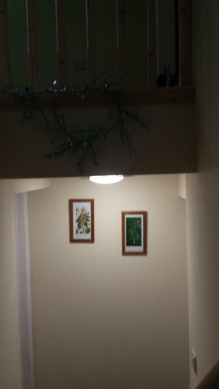 The Saracens Head The Conkera Apartment Chapel Saint Leonards Luaran gambar